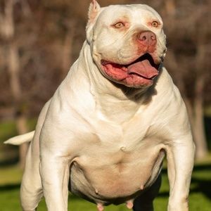 Meet your Posher, Jaime